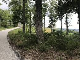 Those looking for more attractions can walk 40 minutes to the dale hollow lake state resort park golf course. Tennessee Waterfront Property In Dale Hollow Lake Celina Gainesboro Cordel Hull Lake Cumberland River Livingston Jamestown