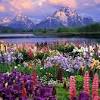 Wallpaper spring pictures of nature. 3