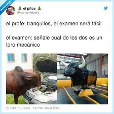 Vef Visto En Las Redes Busqueda De Examen En Vistoenlasredes Com