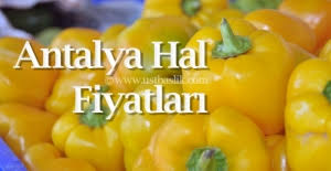 antalya hali sebze fiyatlari meyve fiyatlari 8 temmuz 2019