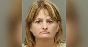 Raleigh woman accused of identity theft, stealing another woman's medical  credentials