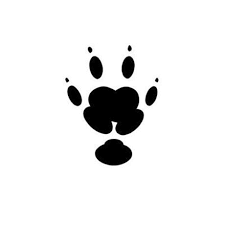 Black paw prints on white wooden background with copy space for text. Pin On Tattoo Design