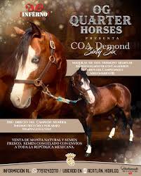 Image result for tbn:tVj6rqcH-AQR9M::www.pregonagropecuario.com.ar/images/caballo_overo.jpg