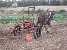 Veicoli trainati da uno o più animali, dotati di ruote o pattini, distinti in veicoli destinati al trasporto di cose, di persone e carri agricoli veicoli a trazione a braccia veicoli spinti o trainati dall´uomo a piedi, azionati dalla forza muscolare del conducente. Trazione Animale Ritorno Al Futuro Terraoggi It