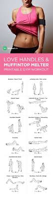 Full Body Workout For Beginners Video Collection Gym