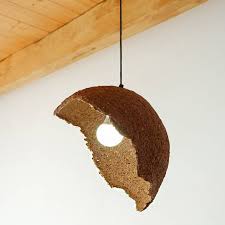 Image result for Oricia