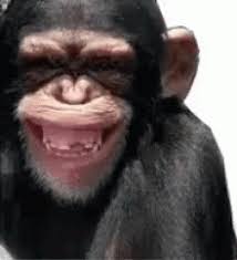 Meme Lucu Gif Meme Lucu Discover Share Gifs