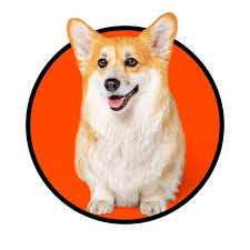 Add to cart your funny corgi toy right now to enjoy these and lots of other benefits because you deserve this exceptional product! Madmax Fluffyroad Madmax Fluffyroad Official Tiktok Watch Madmax Fluffyroad S Newest Tiktok Videos