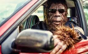 The highway code does not say that drivers must not turn the light on while behind the wheel. 16 Weird Driving Laws From Around The United States