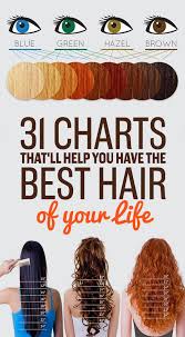 31 Charts Thatll Help You Have The Best Hair Of Your Life