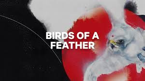 Capita Birds Of A Feather 2020 Review 2020 Capita Birds Of A Feather Youtube