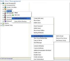 All the smallest tasks that take up your time . Active Directory Manager