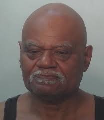 PLEA: Prison time likely for 73-year-old in shooting