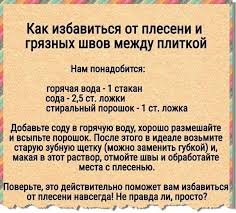 как избавиться от плесени и грязных швов между плиткой Ot Pleseni In 2020 Life