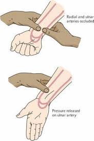 Pin On Correctional Nursing