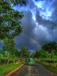 Rainy weather!!!With a little rainbow!!Just beautiful!!! — Steemit