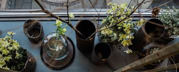 / a flower shop?/ standard disclaimers apply! Blumenladen Landshut