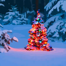 Esta navidad 2020 estará llena de anécdotas. Permisos De Arboles De Navidad Disponibles A Partir Del 1 De Noviembre Y Ahora Disponibles En Linea El Mundo Usa