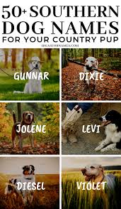 Southern Dog Names That Are Perfect For Your Country Pup Dog Dogs Dognames Furbaby Newdog Newpuppy Dogmom Southern Dog Names Dog Names Girl Dog Names