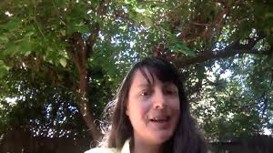 Department Undergraduate Awards and Scholarships