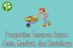 We did not find results for: Pengertian Tanaman Sayur Jenis Manfaat Dan Contohnya Dosenpertanian Com