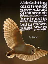 Bird Sitting On Branch Quote A Bird Sitting On A Tree Is Never Afraid Of The Branch Breaking Because Her Trust Is Not In The Branch But In Its O Divine Light Ginger Quotes Believe In