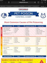 Pet Poison Control Chart Pet Poison Heart Medication Diy Dog Stuff