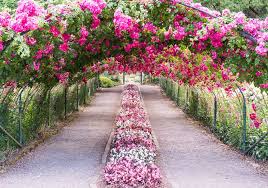 pin by rachel the trendy tomboy on engelse tuinen rose garden seattle fashion garden photography
