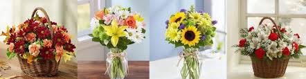 Order flower arrangements from 1stinflowers.com for same day delivery from a local lubbock florist. The 11 Best Options For Flower Delivery In Lubbock 2021