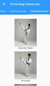 Tae kwon do adalah salah satu cabor seni beladiri yang berasal dari korea selatan. Panduan Ukt Taekwondo For Android Apk Download