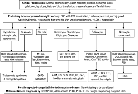 Laboratory Approach To Hemolytic Anemia Springerlink