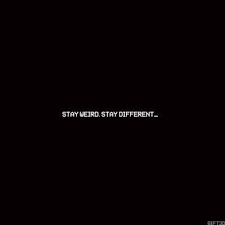 Don't settle, and don't struggle. Buy Life Deep Short Quotes Cheap Online