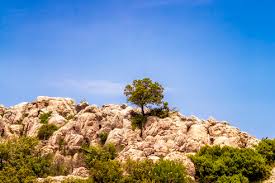 Read hotel reviews from real guests. Spain Malaga Province El Torcal View To Rock Formation Smaf00865 Scott Masterton Westend61