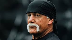 Hogans lawsuit had lasting effect on celeb privacy cases