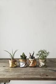 Small flowering indoor plants uk. Uashmama Metallic Paper Bag X Small Plants Pinterest Plant Plant Bags