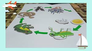 Rancangan media pembelajaran pkn sekolah dasar. Media Pembelajaran Ipa Kelas Tinggi Sd Youtube