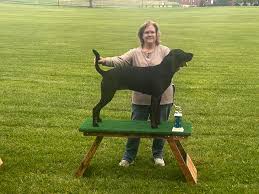 Sugarloaf Mountain Coon Hunters Association