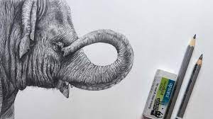 Elephants have long and strong forelegs that have protrusions near the upper foot. Elephant Drawing Elephant Face Pencil Sketch Animal Drawing Youtube