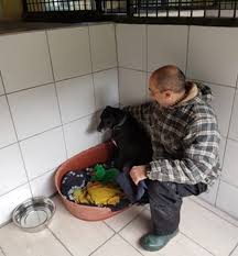 Я знаю длинноногих диких животных. Kyrenia Animal Rescue Holistic Healing Helps Mardo Cyprusscene Com