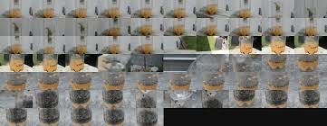 Aflati informatii despre pret si disponibilitate pentru insecticide si alte produse pentru combaterea daunatorilor pe site. Play Md Capcana Lui Pentru Muste Functioneaza Un Pic Prea Bine