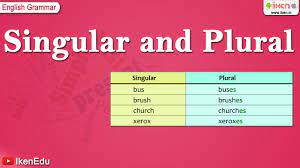 Singular or sounder, a group of boar, see list of animal names. Singular And Plural Nouns English Grammar Iken Ikenedu Ikenapp Youtube