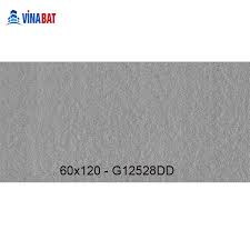 Gạch Taicera đồng chất 60x120 G12528DD dày 2cm - VinaBAT