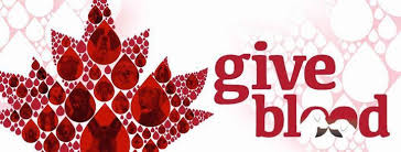 1802 10 avenue sw, calgary, t3c 0j8 get directions. Blood Donor Clinic Mcknight 24hr Veterinary Hospital Mcknight 24 Hour Veterinary Hospital Calgary March 14 2021 Allevents In