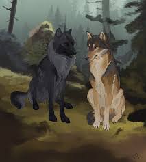 Discussion Of Introduction Askari And Asheda Wolf Art Dog Art Wolf Artwork