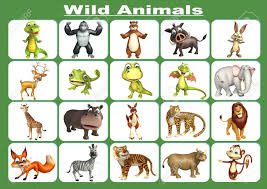 3d rendered illustration of wild animal chart