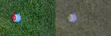 Aug 20, 2018 · in technical terms, anomalous trichromacy (its most common form) is a genetically transferred defect that shifts the range of sensitivity of either the red or green sensitive cone cells and causes color confusion somewhere in the color spectrum. Are Dogs Color Blind Can My Dog See Color American Kennel Club