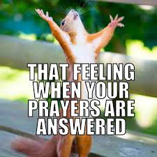 images?q=tbn:ANd9GcRpEpRAFPnudZkTb0PiI5a