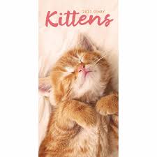 After some digging, we believe that the ones presented here are quite a proper collection with quality and balance. Kittens Slim Diary 2021 At Calendar Club