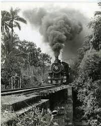 train on the old overseas railroad in the florida keys train train travel jamaica history train on the old overseas railroad in