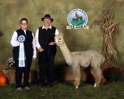 Anglers claim the best fishing is on the eastern end near the dam. Openherd Lake Alice Alpacas Llc Is An Alpaca Farm Located In Waterport New York Owned By John Cheryl Wise An Alpaca Farm